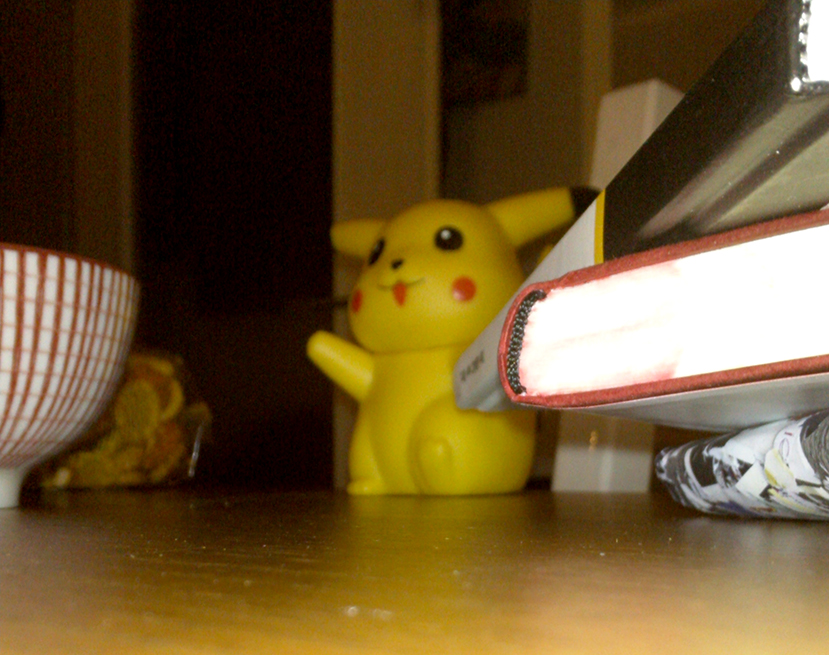 The Chancellorof the Exchequer Lord Pikachusan 